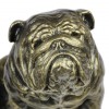 English Bulldog - figurine (resin) - 363 - 16263
