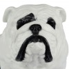 English Bulldog - figurine (resin) - 363 - 16346