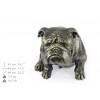 English Bulldog - statue (resin) - 654 - 21685
