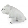 English Bulldog - statue (resin) - 654 - 21701