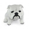English Bulldog - statue (resin) - 654 - 21706
