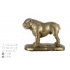 English Bulldog - urn - 4088 - 38482