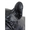 French Bulldog - figurine (resin) - 364 - 16371