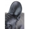 French Bulldog - statue (resin) - 2 - 21750