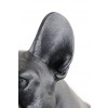 French Bulldog - statue (resin) - 661 - 21775