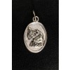 Irish Wolfhound - necklace (silver plate) - 3409 - 34821