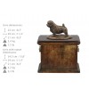 Norfolk Terrier - urn - 4063 - 38305