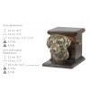 Rhodesian Ridgeback - urn - 4159 - 38925