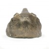 Shetland Sheepdog - figurine (bronze) - 565 - 22178