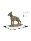 Doberman pincher - figurine (bronze) - 4564 - 41209